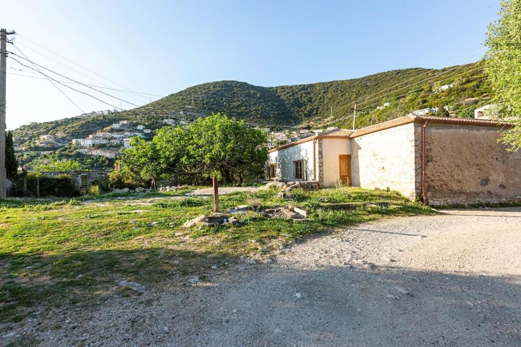 Apartament Color - South Paradise 2 *